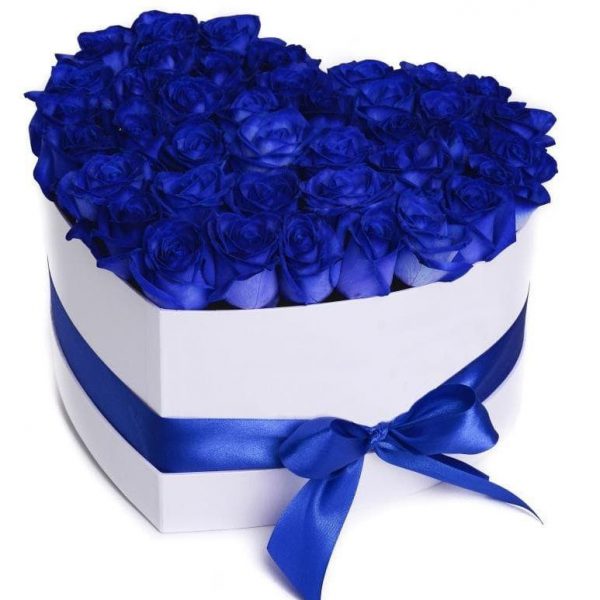 جعبه گل رز آبی